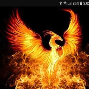 Meet your Posher, Angelica